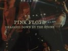 Pink Floyd.      Dragged Down by the Stone