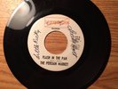 LOUISIANA GARAGE 45 THE PERSIAN MARKET FLASH IN THE PAN LIGHTNING 103 VG+ HEAR