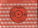 Roger Blooms Hammer Polly Pan 7