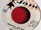 Ray Willis - Whatta You Do (Original Rockabilly Promo)