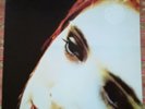 SLOWDIVE - OUTSIDE YOUR ROOM EP - UK 12