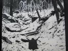 Demoncy - Within The Sylvan Realms Of Frost LP New ANTI-GOTH 333 Vinyl w/Poster