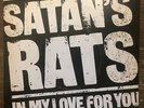 Satan's Rats ?– In My Love For You - DJM Records  ?– DJS 10819 - VG++