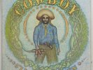 COWBOY - 5'LL GET YOU TEN - SOUTHERN/COUNTRY ROCK - PINK CAPRICORN LABEL - NM-