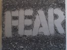 FEAR - The Record - Original Italian LP - Punk Hardcore