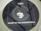 T REX DANDY IN THE UNDERWORLD PICTURE DISC LP