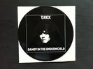 T. Rex - Dandy in the Underworld (12