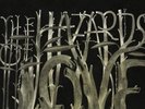The Decemberists - The Hazards Of Love Vinyl LP Rough Trad NEU