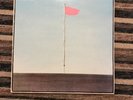 WIRE Pink Flag 1977
