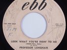 R&B 45 PROFESSOR LONGHAIR Look What You're Doin' To Me EBB promo HEAR