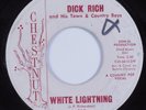 Rockabilly 45 WHITE LIGHTNING Dick Rich CHESTNUT HEAR