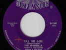 Northern Soul Girl Group  45 / THE SPANDELLS - Say No Girl : DIMENSION  HEAR