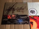 HEIDI BERRY - LOVE - LP - CAD 1012 - UK 1991 - OIS (DI1656)
