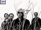 Tom Petty & the Heartbreakers Echo 2x Vinyl LP Record with etched d-side  NEW