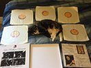 Les Rallizes Denudes Great White Wonder Box Sent Psych Acid Noise Japan Avant