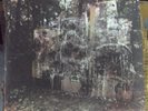 LA DISPUTE WIldlife 2xLP green & clear vinyl 750 press No Sleep emo