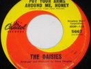 The Daisies-