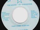 SOUND OF EXPERIENCE Easy Come Easy Go RARE modern soul 45 boogie disco LISTEN