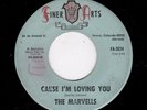 SWEET SOUL-MARVELLS-FINER ARTS -CAUSE I'M LOVING YOU/HOW COULD YOU HURT ME S0