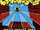 Bouncing Souls - How I Spent My Summer Vacation 12