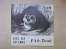 Sgl.: FIFTH DEAD - Blue Sky / Devilking G CCA 5074 1976 M-/M- RAR GERMAN BEAT/PS