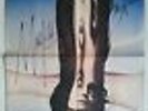 THE KINKS    1978       orig. german  Concert Poster      84 x 60 cm