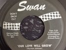 THE SHOWMEN - OUR LOVE WILL GROW/ YOU'RE EVERYTHING SWAN - NORTHERN SOUL - RARE