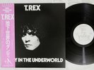 T.REX DANDY IN THE UNDERWORLD T.REX SP20-5065 Japan OBI Vinyl LP