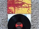 Wishbone Ash Pilgrimage LP