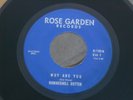 ZZ4 ROSE GARDEN 1168 HAMMERMILL BUTTER WHY ARE YOU YOU CANT HOLD BACK TOMORROW