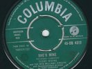UK Rocker Terry Wayne COLUMBIA 4312 She's mine / Brooklyn Bridge ?