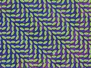 Animal Collective - Merriweather Post Pavilion Vinyl LP2 Domino Rec NEU