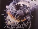 Cosmogenesis LP (12