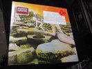 LED ZEPPELIN House of the Holy LP Brand New Factory Sealed