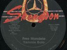 Yami Bolo - Free Mandela US Skengdon 12