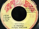 The Mighty Abijans - Untamed JA Swing Bird 7