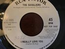 Northern Soul 45 The Cavaliers-I Really Love You HEAR IT