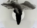 JOY DIVISION, love will tear us apart  Vinyl Record/LP *NEW*