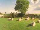 KLF Chill Out LP NEW VINYL KLF Communications repress The Orb Mixmaster Morris