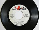 JOHN HAMMOND: I Can Tell / I Wish You Would - Red Bird Promo M- Blues
