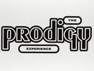 THE PRODIGY - EXPERIENCE  VINYL LP NEU