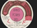 TOOTS & THE MAYTALS  -  Scare Him  -  GORGON RECORDS -   Reggae  7