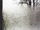 BON IVER - FOR EMMA FOREVER AGO - VINYL LP - NEW