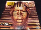 I Am... The Autobiography by Nas (Vinyl, Apr-1999, Columbia (USA))