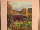 Slapp Happy - Sort Of Recommended Records Reissue Henry Cow Art Bears Prog Psych