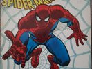 THE AMAZING SPIDER-MAN 1972 Buddah COMIC LP A ROCKOMIC record vinyl 33rpm EUC