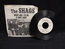 RARE Vintage Vinyl 45 Record The Shags 'What Am I To Do/It Ain't Easy' w/ Sleeve