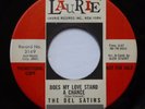 The DEL-SATINS 45 Does My Love Stand a Chance/Ballad of a DJ LAURIE doowop Pj419