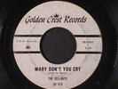 DELIGHTS: That Lucky Old Sun / Mary Don't You Cry 45 (plays very well)