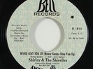 Shirley & the Shirelles 